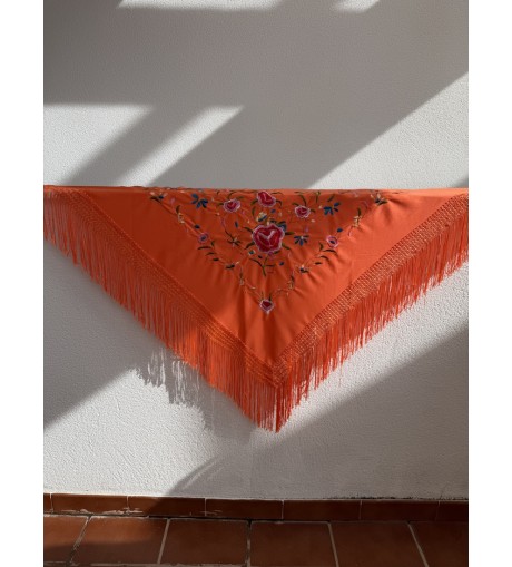 Mantón 6